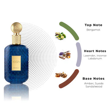 Fragrance Notes