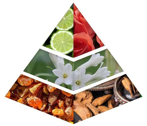 Fragrance Notes